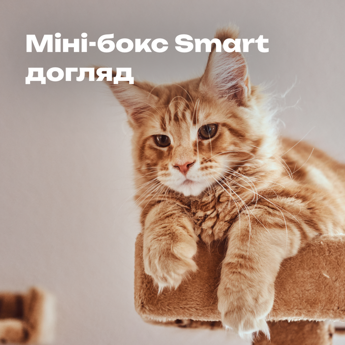 Міні-бокс Smart-догляд для котів