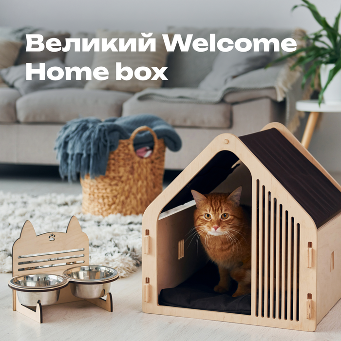 Великий Welcome Home Box для кошенят